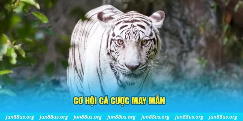 i9bet151 hết slot la gì