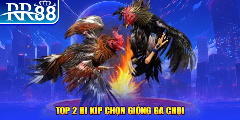 i9bet151 đăng nhập poker số 1