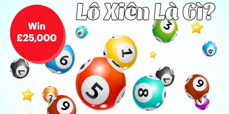 i9bet151 gà chọi c1.tv