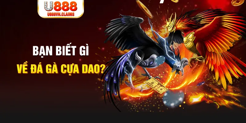 i9bet151 xổ số kiến thiết