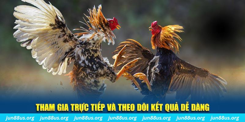 i9bet151 đá gà trực tiếp bình luận viên
