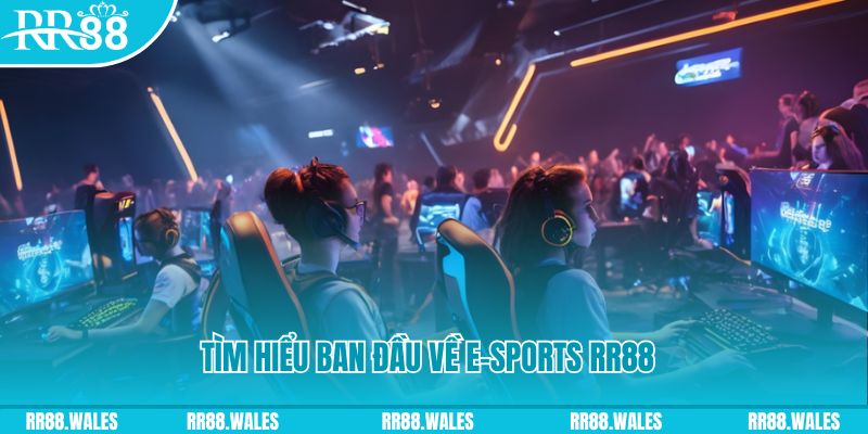 i9bet151 Đĩa màu ace
