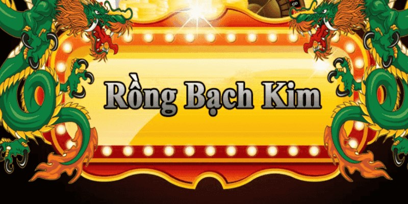 i9bet151 đăng nhập roulette 2025