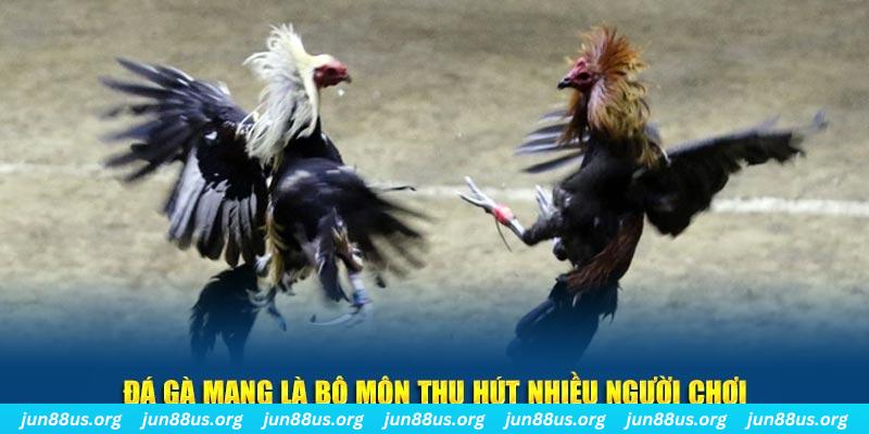 i9bet151 xổ số cà mau