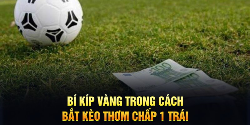 i9bet151 đăng nhập mậu binh mới nhất