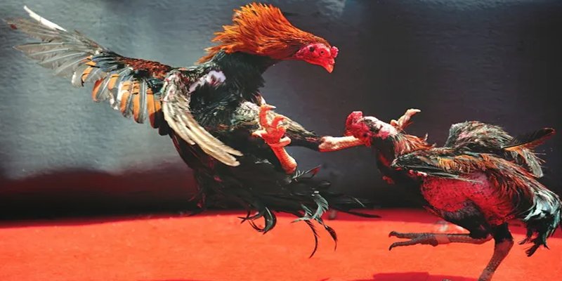 i9bet151 BG Bắn cá