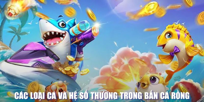 i9bet151 loi game dot kich ket noi may chu that bai