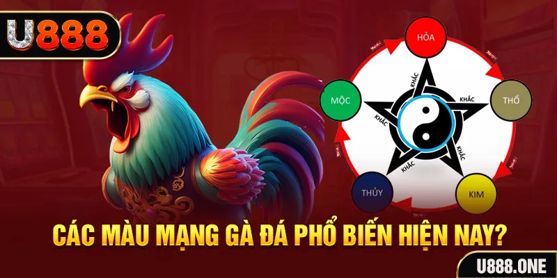 i9bet151 đăng nhập mậu binh