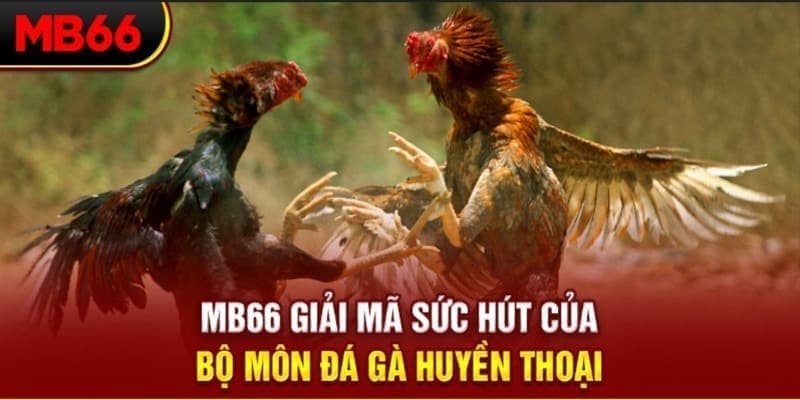 i9bet151 Phi Đội Ưu Tú