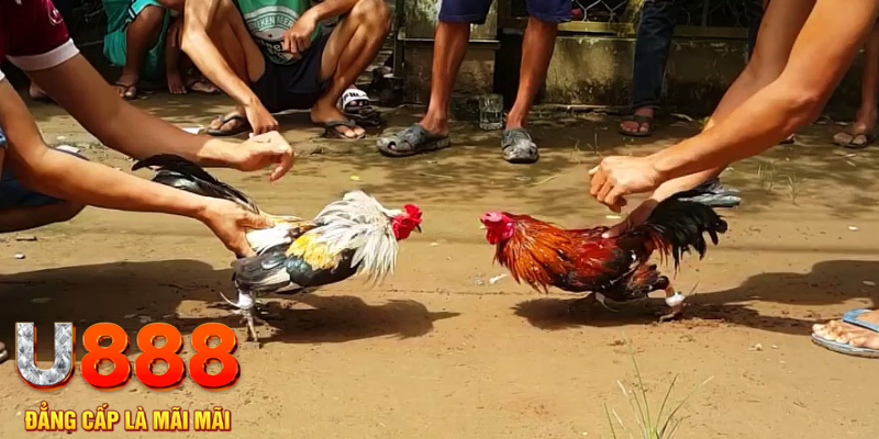 i9bet151 đăng nhập mậu binh rút tiền nhanh
