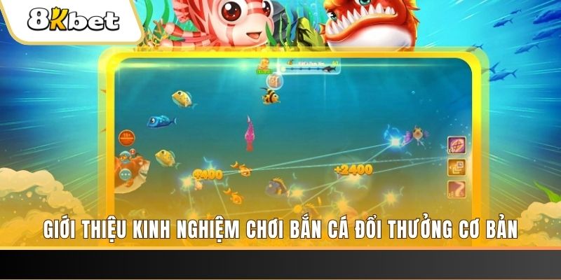 i9bet151 xổ số miền bắc thứ năm hàng tuần