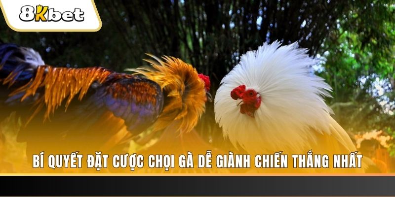 i9bet151 Tài Xỉu 2