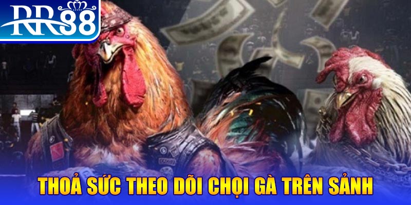 i9bet151 đá gà 88.com