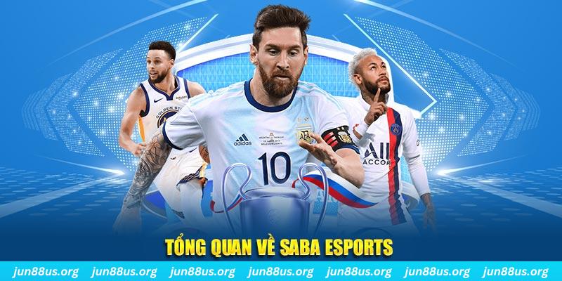 i9bet151 gà chọi c1 tv trực tiếp hôm nay