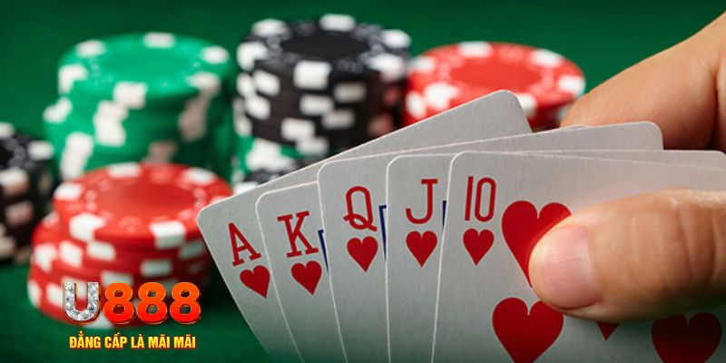 i9bet151 trực tiếp đá gà
